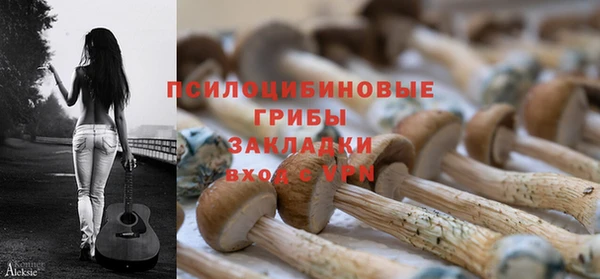 индика Бронницы