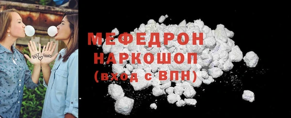 индика Бронницы