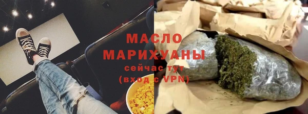 индика Бронницы