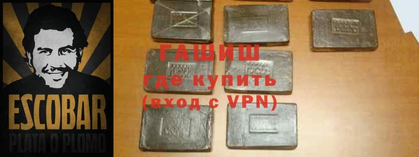индика Бронницы