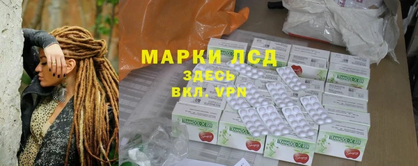 индика Бронницы