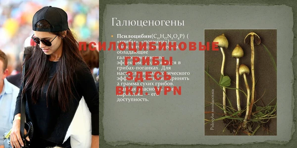индика Бронницы
