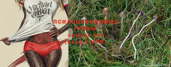 индика Бронницы